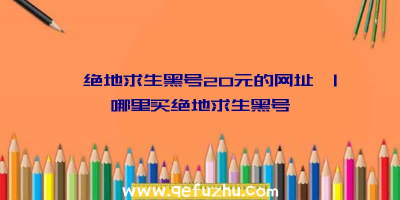 「绝地求生黑号20元的网址」|哪里买绝地求生黑号